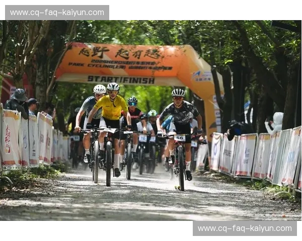 山地车转会:从赛道到街头,骑行新时代的热血交接 山地车转会:从赛道到街头,骑行新时代的热血交接